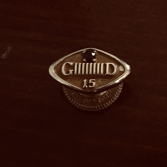 Pin - Picture 2 of 2